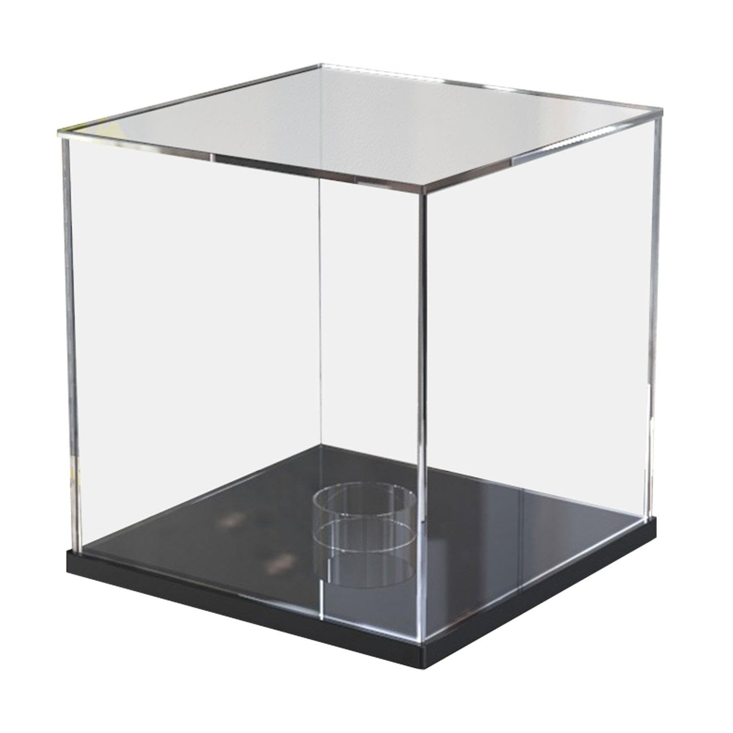 Basketball Display Case