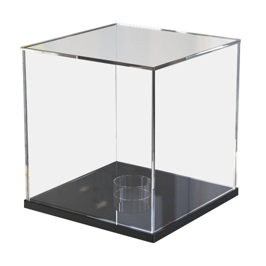 Basketball Display Case